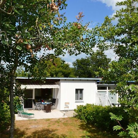 Ferienwohnung Am Deich Sankt Peter-Ording Exterior foto